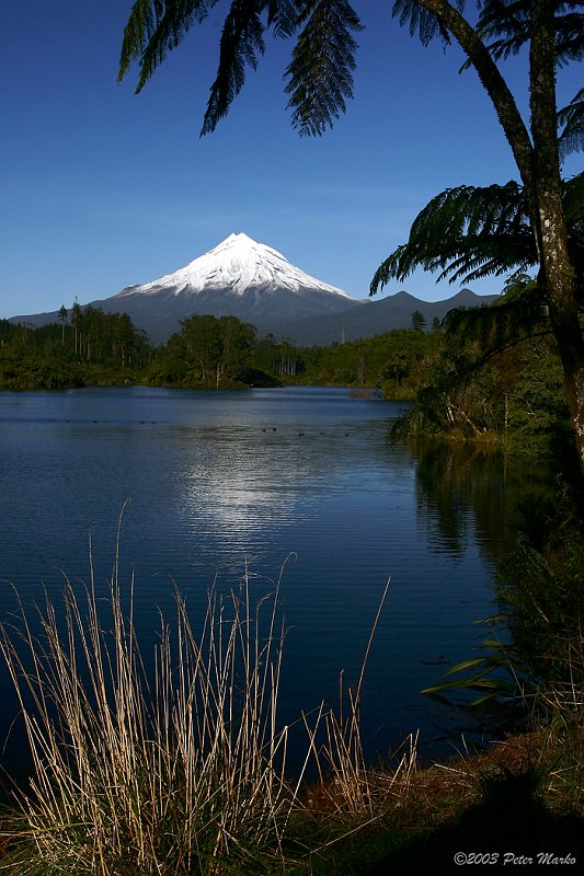 Taranaki from lake Vert.jpg - Mt. Taranaki, view from Lake Mangamahoe, Taranaki, New Zealand